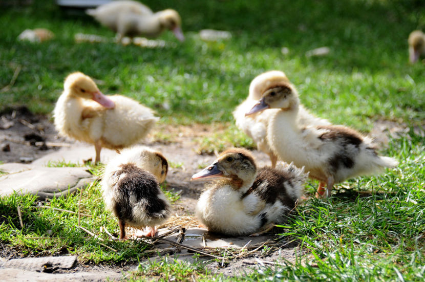  - 04 Rate lesesti 2020