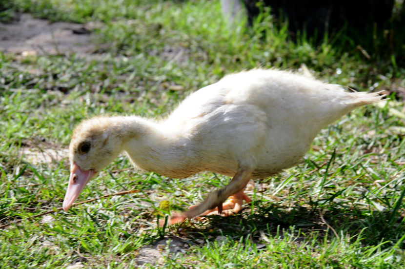  - 04 Rate lesesti 2020