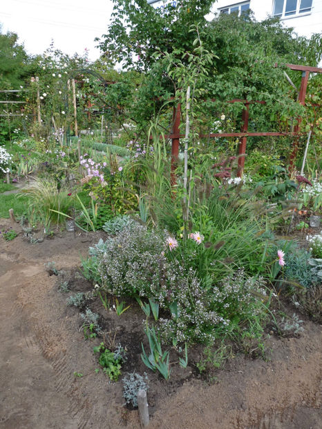  - 2020 - 03 - Toamna