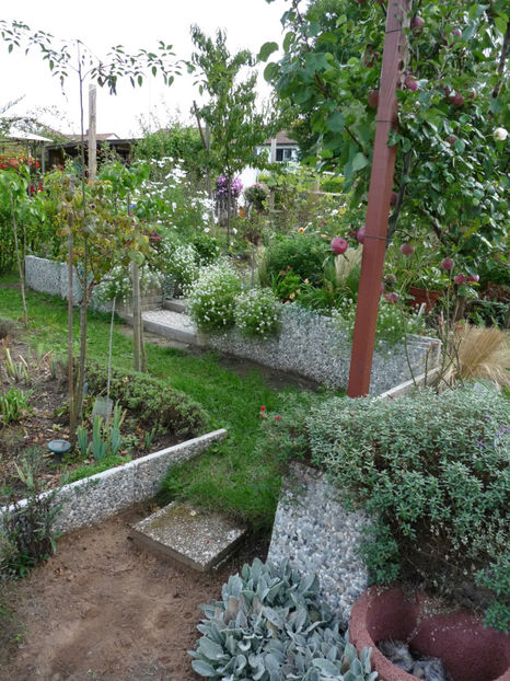  - 2020 - 03 - Toamna