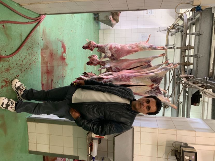 3C0F1F51-93E4-4ADA-A0F3-C4A93ECF9F5C - HuntDebrecen