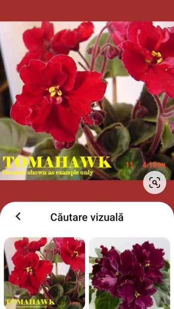 Tomahawk - Tomahank
