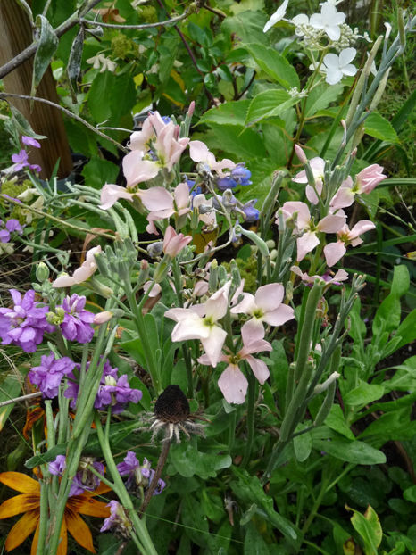  - 2020 - 03 - Toamna