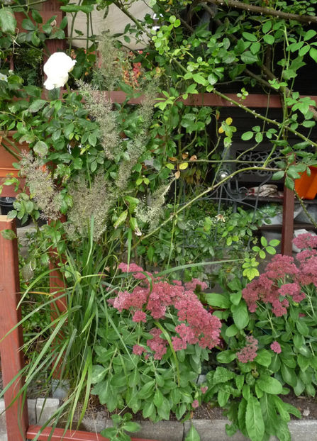  - 2020 - 03 - Toamna