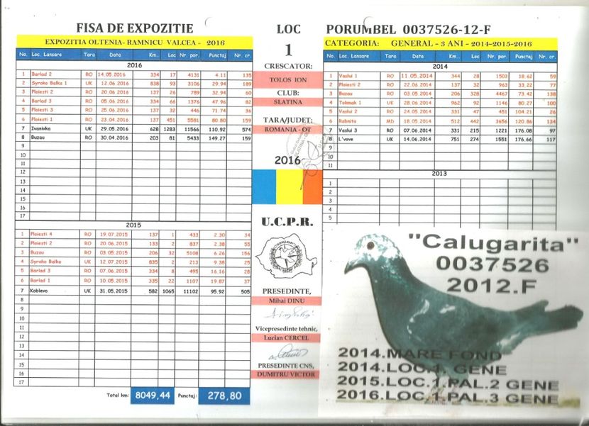 .037526-2016 - 2021 POZEE