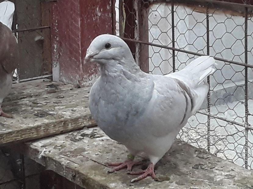 20201009_114635(0) - CONTACT