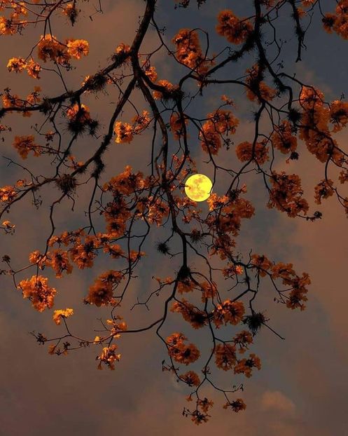 Luna plina in Berbec, Grecia - Luna - Soarele si norii - 2
