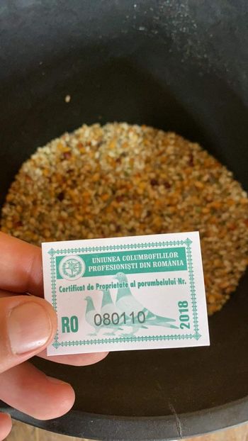 received_264772194574933 - Bulgaria