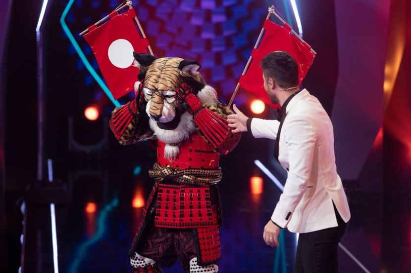 Masked Singer - Masked Singer 2020-Prezent
