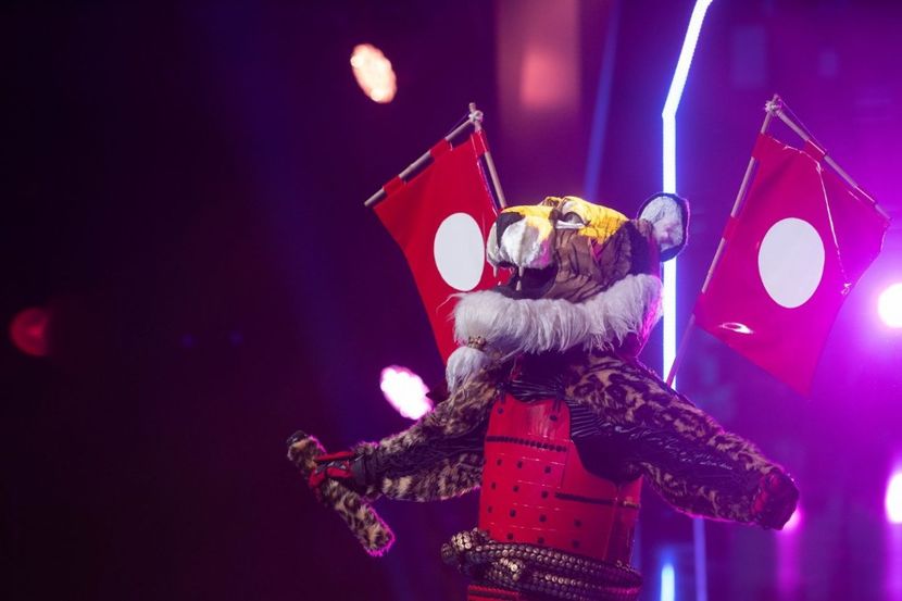 Masked Singer - Masked Singer 2020-Prezent
