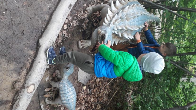 - Dino parc