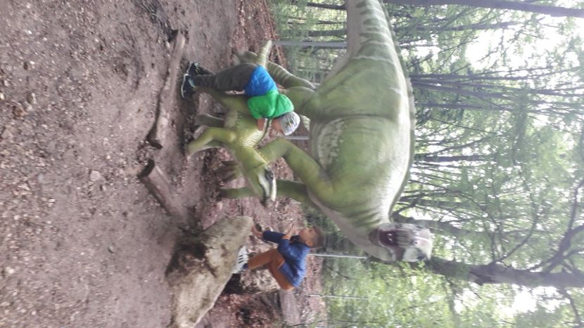  - Dino parc