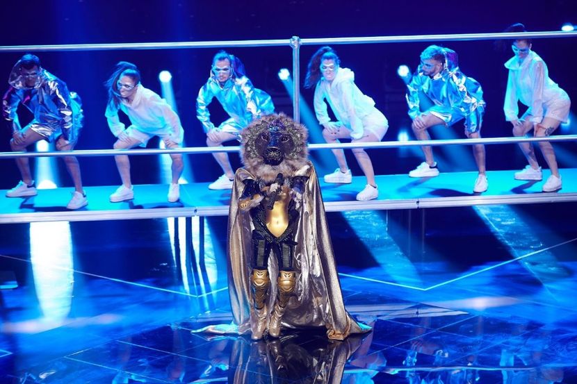 Masked Singer - Masked Singer 2020-Prezent