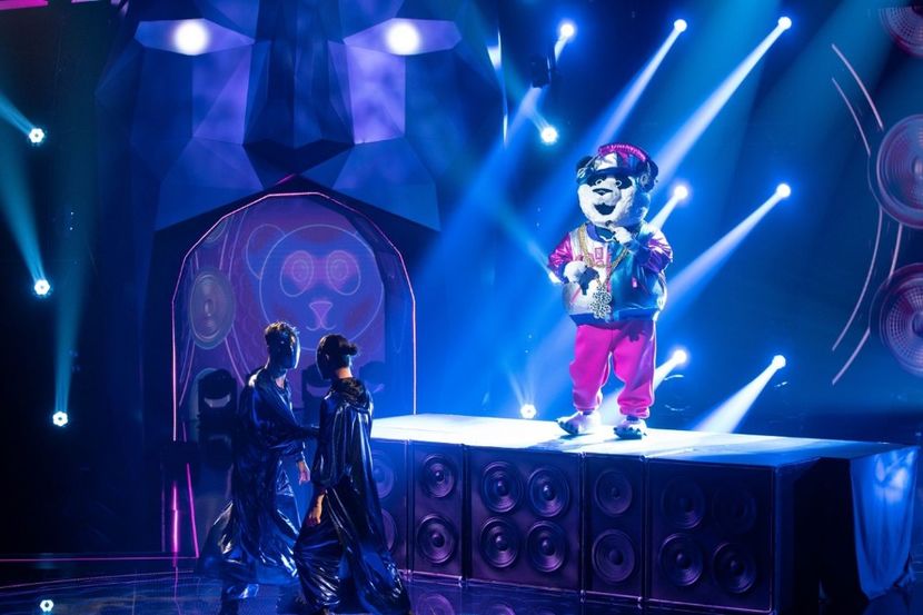 Masked Singer - Masked Singer 2020-Prezent