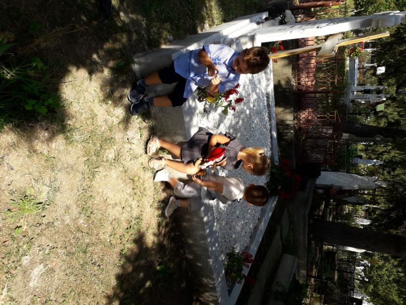  - Botez