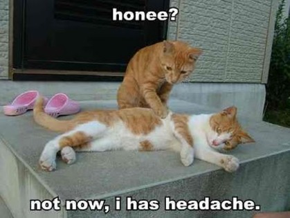 1188245238-honee-not-now-i-has-headache - mori de ras
