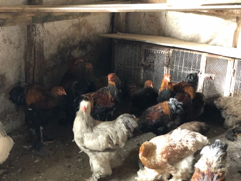 3F925AF9-848A-44D6-99AD-D5E9BAC24B5D - Seria 2 - martie