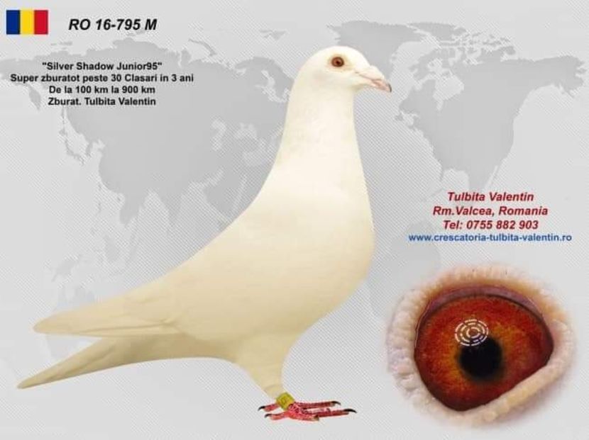  - NU AMI APARTIN 2020