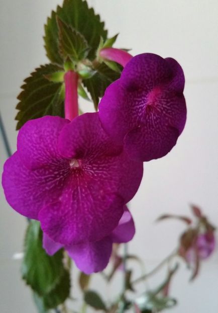 20201011_092535-1 - 2020