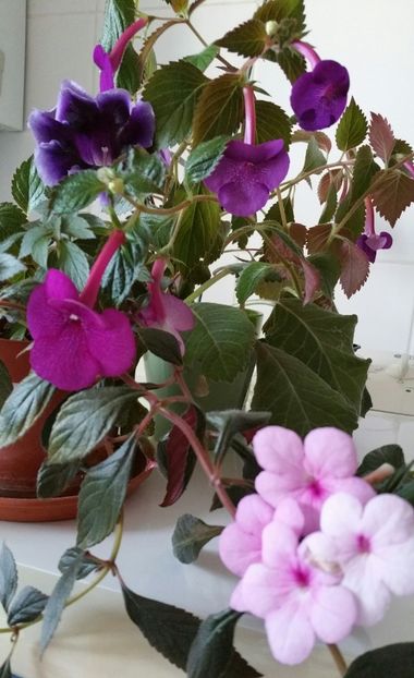 20201011_092455-1 - 2020