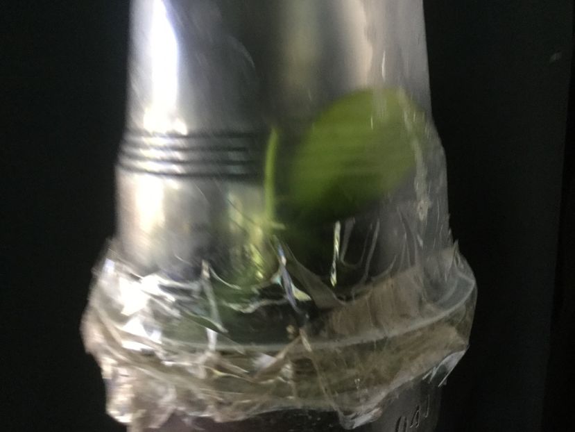 11761A53-ACDF-4F2E-8441-3CD14DD82608 - Multumiri Marirogo 2020