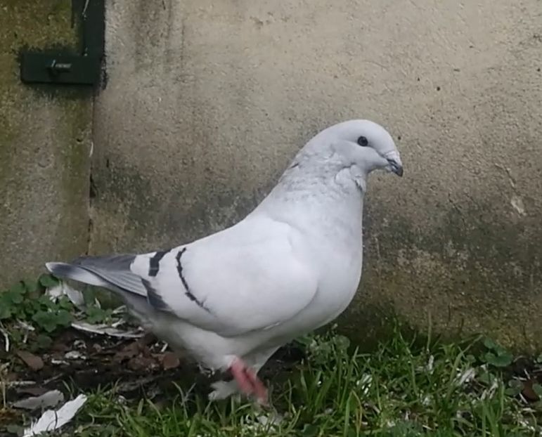 PL20-JRS 5 (F.) Archiwum - g- MLODE-2020 - Youth