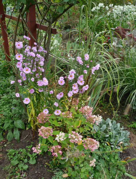  - 2020 - 03 - Toamna