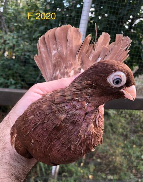 D62173FD-AD86-4439-8FDB-C2C1EE59B4BD - Poze noi