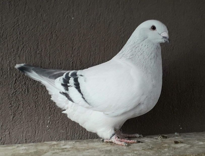 received_348008243117377 - Pui 2025