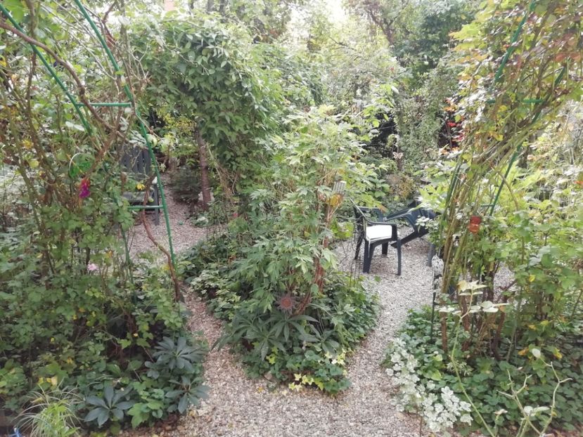 11.10.2020 - Grădina 2020 continuare 2