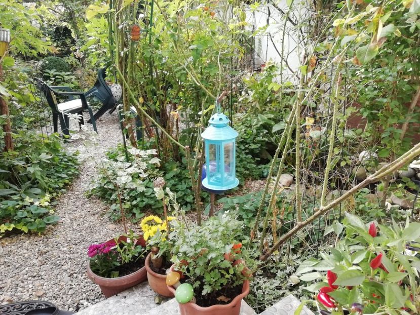  - Grădina 2020 continuare 2