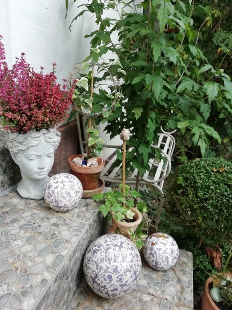  - Grădina 2020 continuare 2