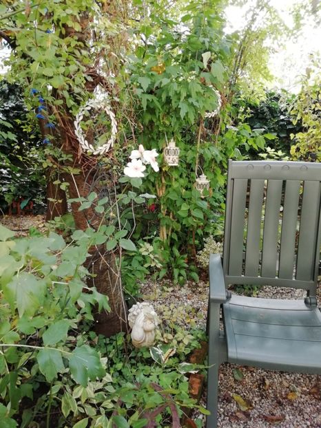  - Grădina 2020 continuare 2