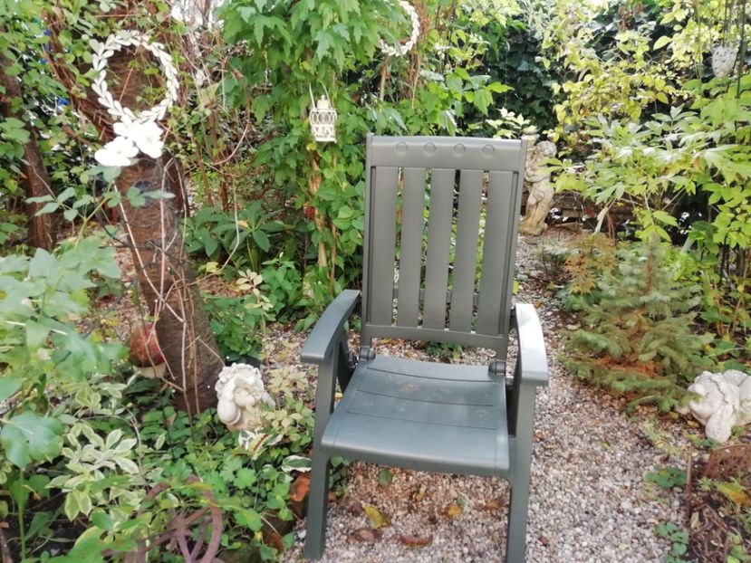  - Grădina 2020 continuare 2