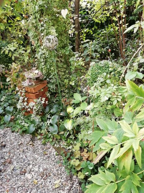  - Grădina 2020 continuare 2