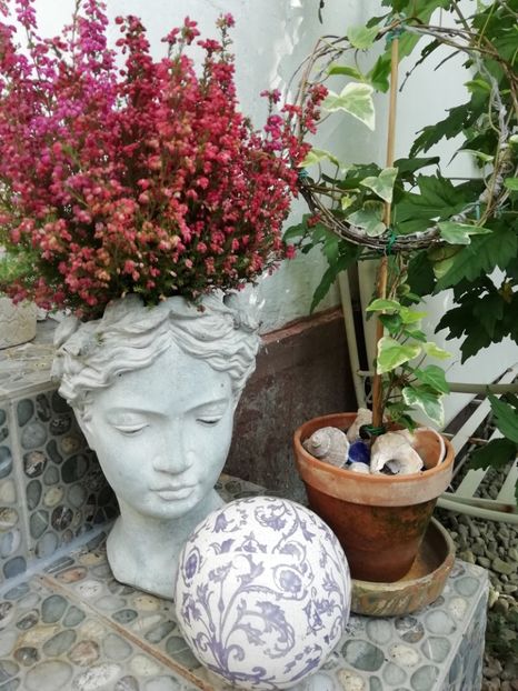  - Grădina 2020 continuare 2