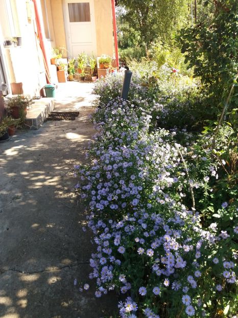  - 2020 Gradina G1_G2