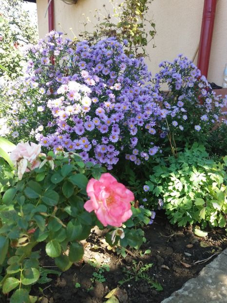  - 2020 Gradina G1_G2