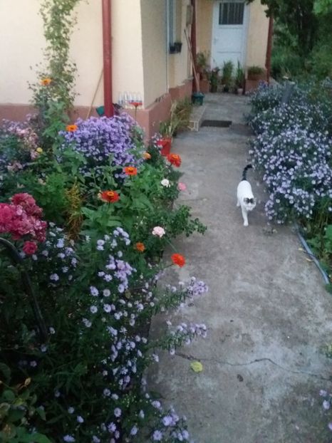  - 2020 Gradina G1_G2