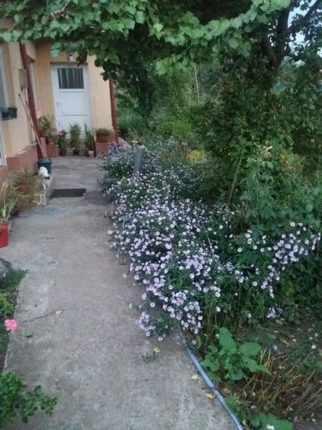  - 2020 Gradina G1_G2