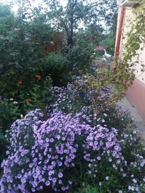  - 2020 Gradina G1_G2
