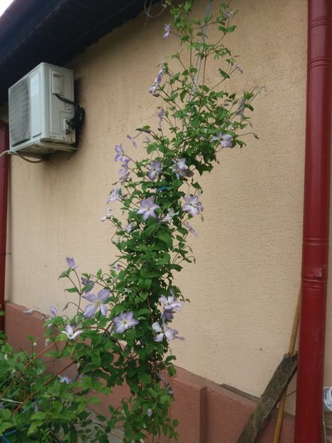  - 2020 Gradina G1_G2