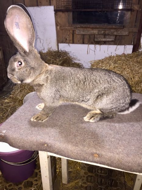 F6830459-F20F-4924-9F4F-D0BB4583F9AA - RO 8-3056