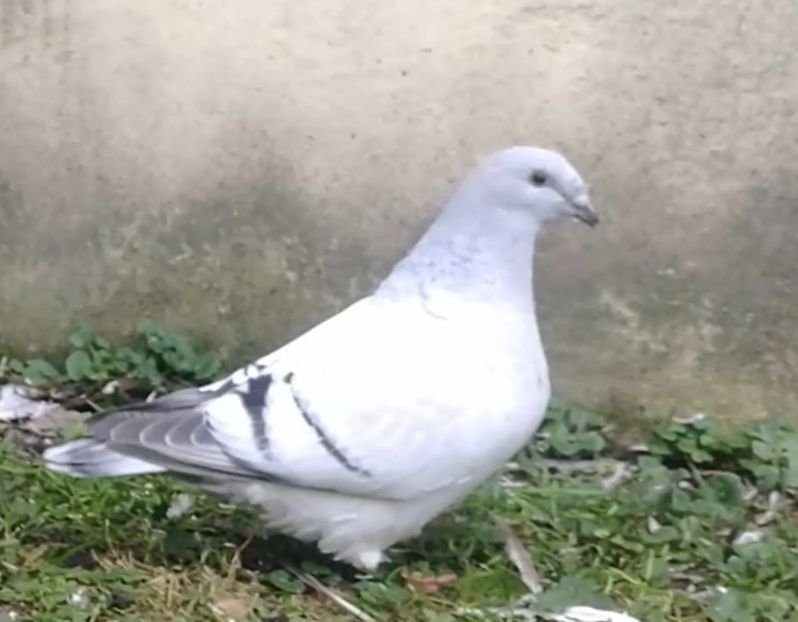 PL20-A758 (F.) Archiwum - g- MLODE-2020 - Youth