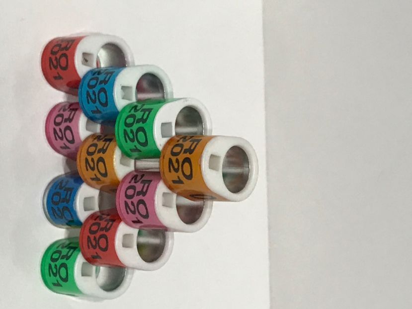 B382AC80-046D-49F3-AAA6-755D98C0AA27 - 000 Inele Porumbei 2021 cu locaș cip