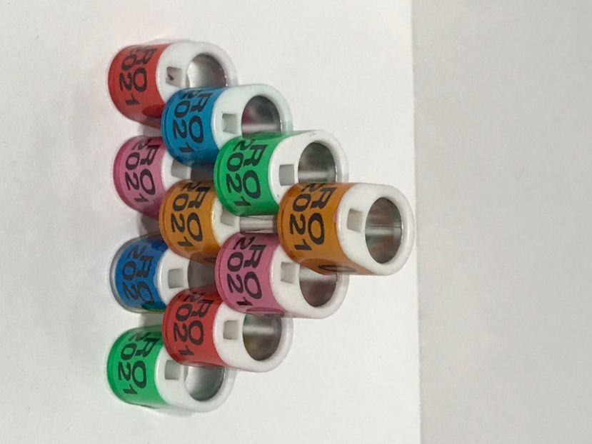 62A1C231-94F2-4B95-B399-6A07D69E45CA - 000 Inele Porumbei 2021 cu locaș cip