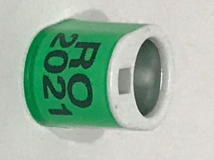 BEF78990-6EA7-4F2E-B3D0-E00870B08737 - 000 Inele Porumbei 2021 cu locaș cip