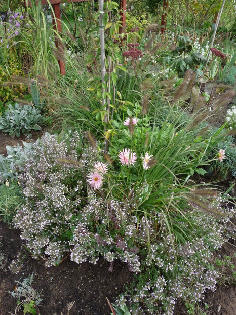  - 2020 - 03 - Toamna