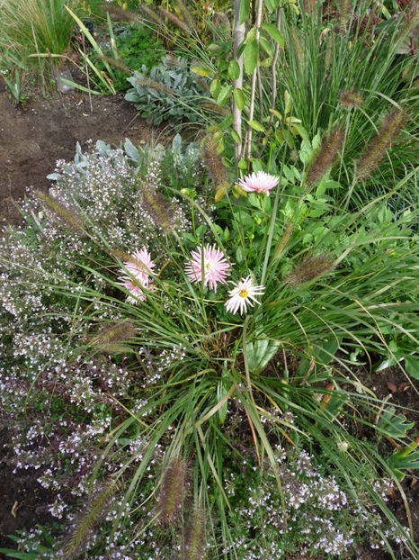  - 2020 - 03 - Toamna