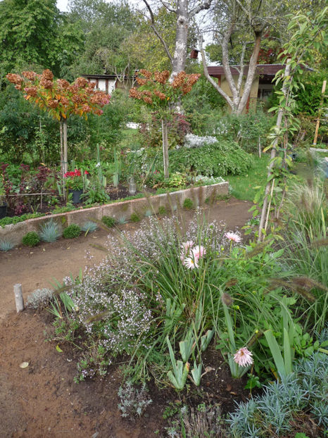  - 2020 - 03 - Toamna